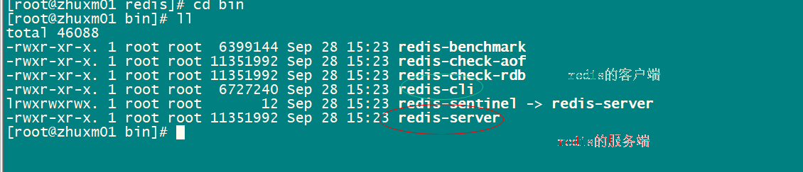 image-20200928152525279